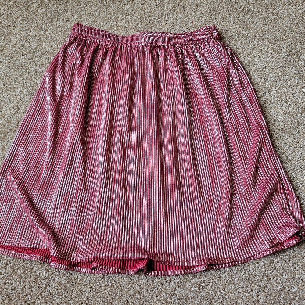 NWT Gypsy blue red glitter striped Pink Pleated A-Line Skirt Knee-Length Casual